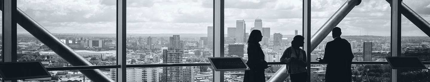 People looking at city skyline
